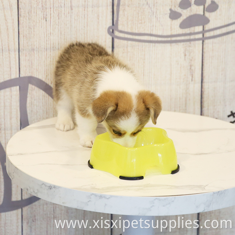 Pet Supplier Customizable New Style Water Food Eco-friendly Plastic Pet Raised Dog Bowl